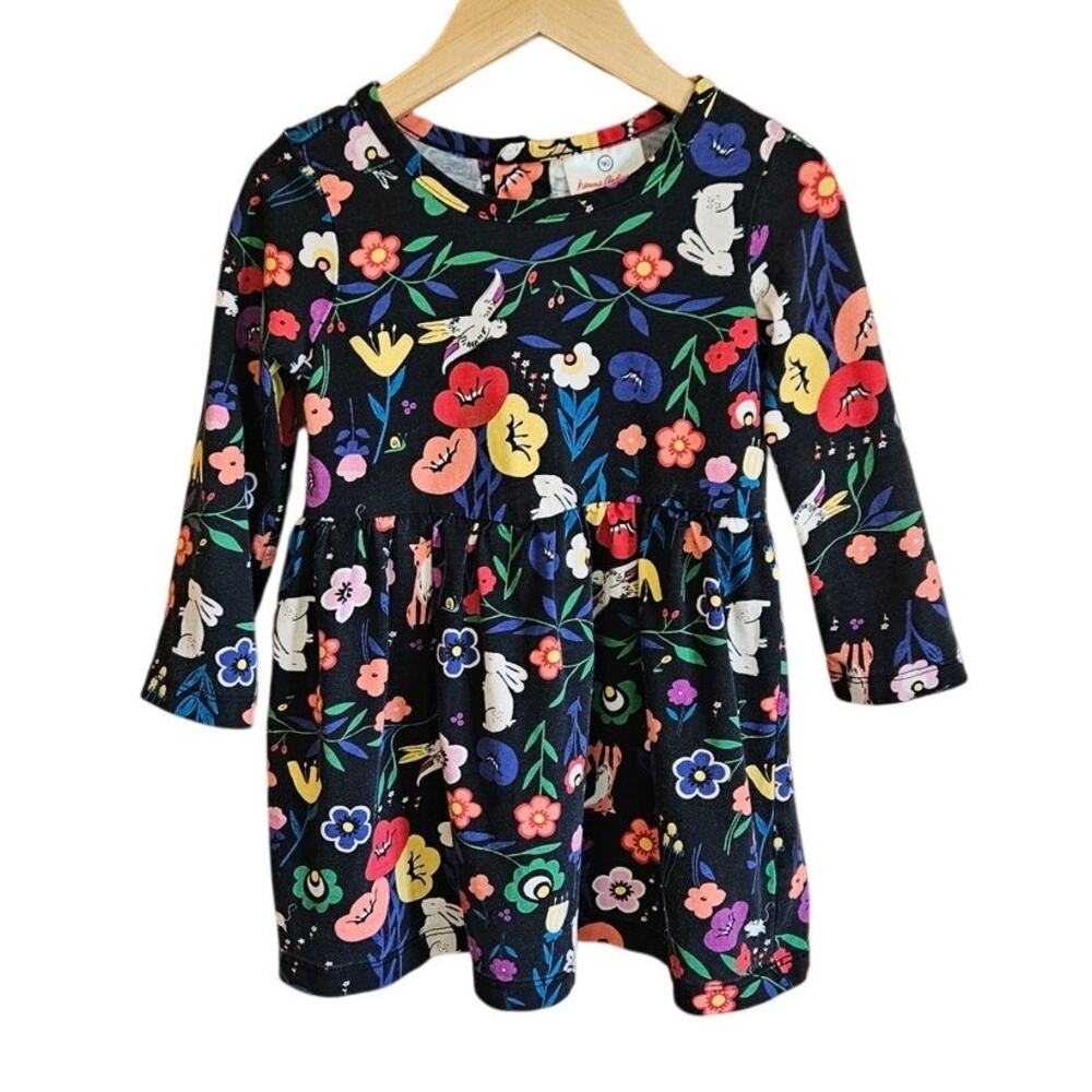 Hanna Andersson Girls 90 (3T) Woodland Garden Bunny Fox Floral Cotton Dress